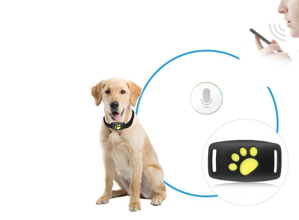 Trackcat - Real-Time GPS Cat Tracker Collar with Reliable Satellite Tracking 2