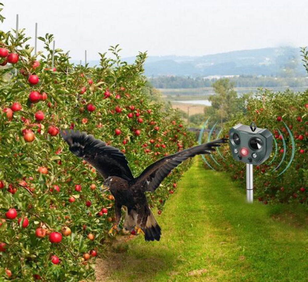 Ultrasonic Bird + Pest Repeller Solar Powered - Long Range 3