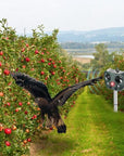 Ultrasonic Bird + Pest Repeller Solar Powered - Long Range 3